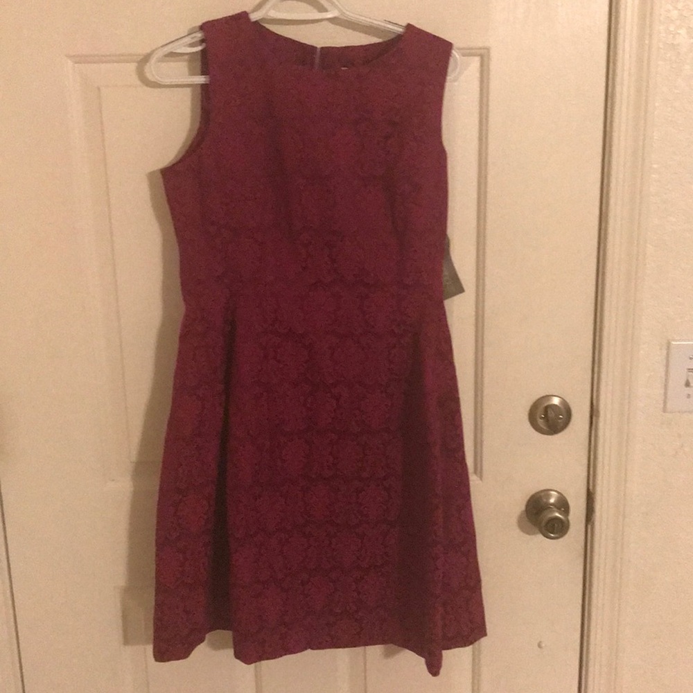NWT Eva Mendes dress from New York & Company